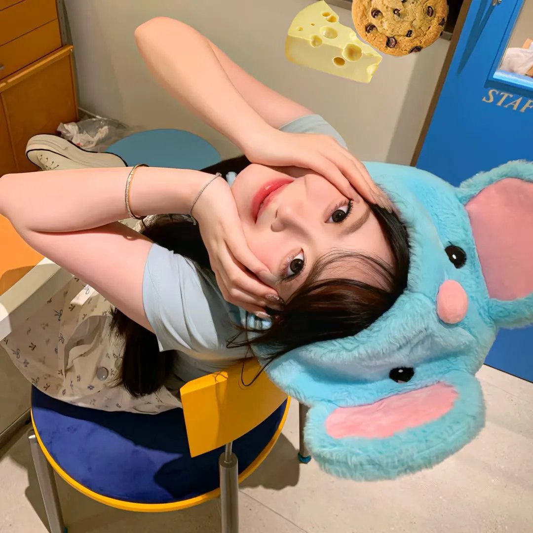 猫头鹰